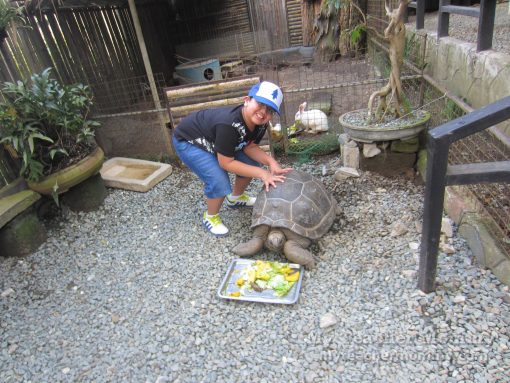Kinder Zoo Adventure Jungle, Tagaytay