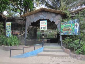 Kinder Zoo Adventure Jungle, Tagaytay