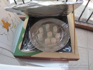 Place the food on an aluminum lined paper plate. (Pizza box solar oven)