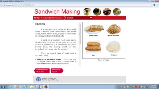 Sandwich Making